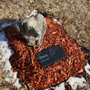 Order 814015 Review Image. Granite dog headstone for Odie, featuring his picture.