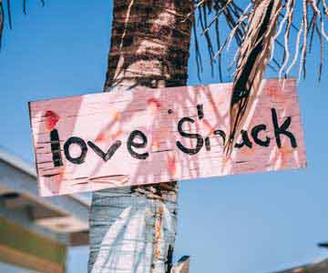 A pink wooden sign that says "Love Shack" attached with rope to a palm tree