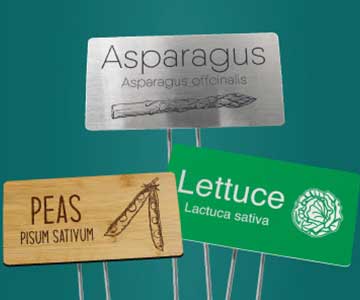 Engraved garden signs labeled asparagus, peace, and lettuce.