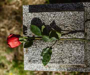 A single rose laying on a top of a headstone.