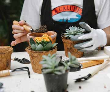 A woman placing potting soil into planter pots.