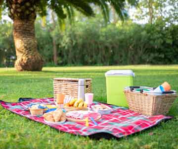A picnic set up in the grass with food laying out on a sunny day.