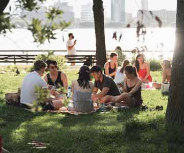 Group of colleagues enjoying a picnic together outdoors.