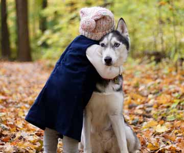 A small child hugging their loved fluffy dog near trees.