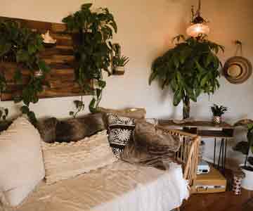 Living room full of plants