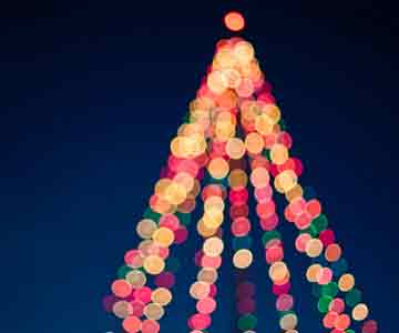 Christmas lights shaped around the tree, blurred in the background.