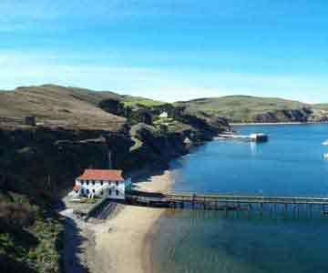 Beachside house with wooden plank path leading to the water.