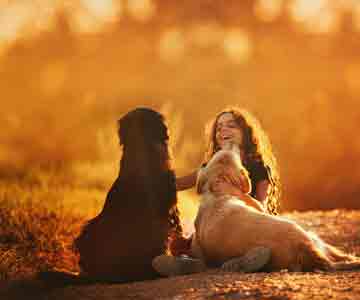 Girl cuddles her dogs in the summer light.