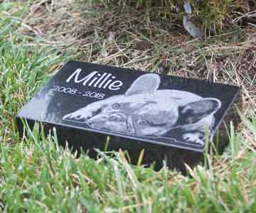 Unique Tribute to Beloved Pets