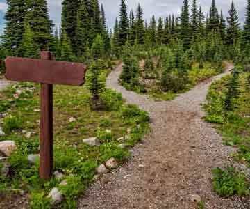 A wooden sign in the ground with a fork in the road in the background.