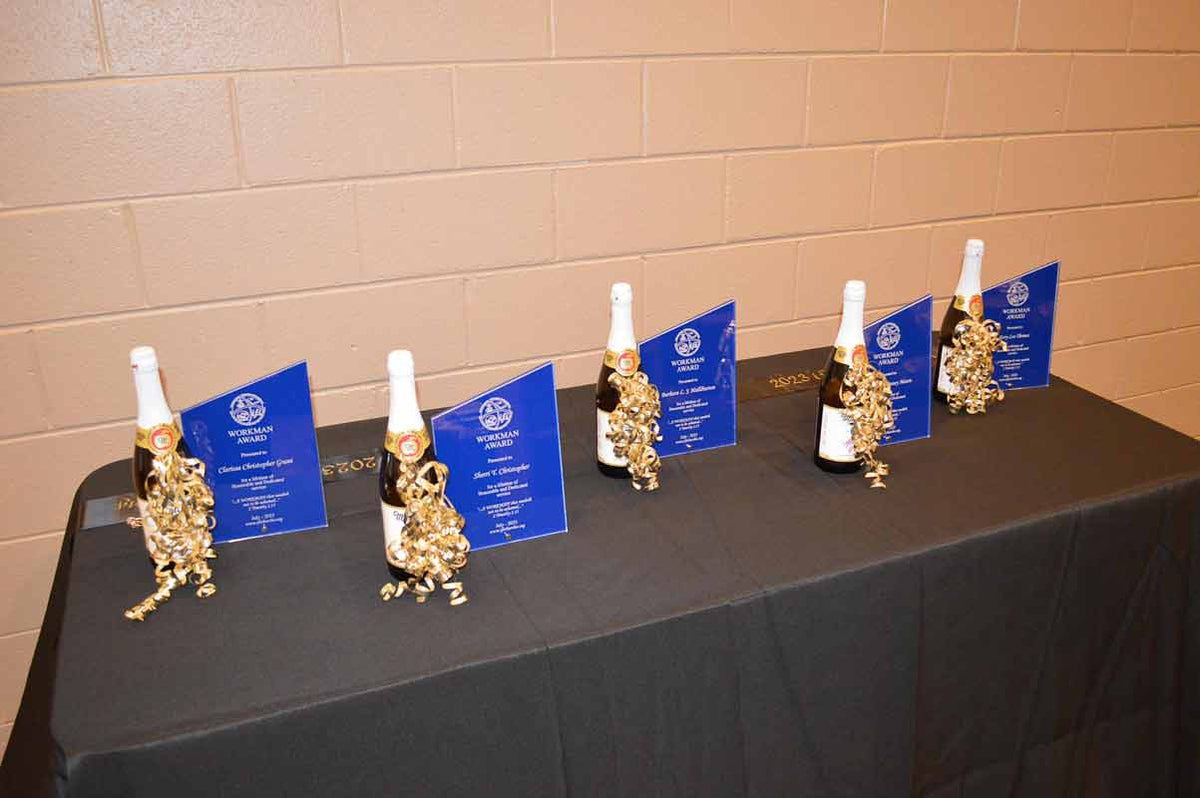 Customer Image Review for 10” Economy Peak Acrylic Awards