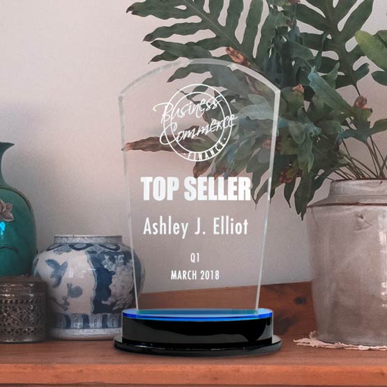 Custom Acrylic Arch Award For Top Seller With Blue Mirror Base And Logo And Name And Date On A Shelf With Plant And Pots