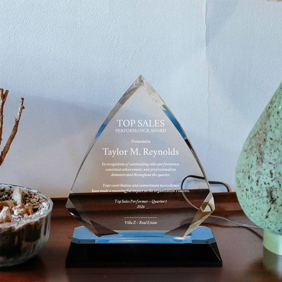 Arrow Diamond Acrylic Award With Blue Mirror Base And Engraved With Top Sales Message On Shelf With Plant And Lamp