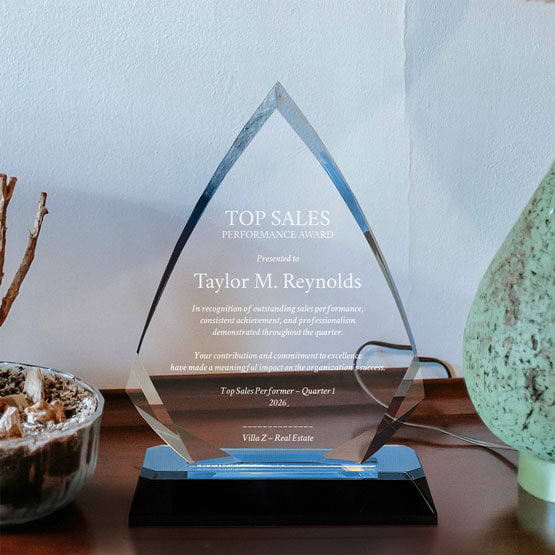 Arrow Diamond Acrylic Award With Blue Mirror Base And Engraved With Top Sales Message On Shelf With Plant And Lamp