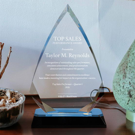 Arrow Diamond Acrylic Award With Blue Mirror Base And Engraved With Top Sales Message On Shelf With Plant And Lamp