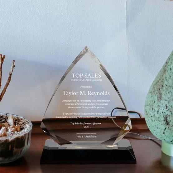 Arrow Diamond Acrylic Award With Silver Mirror Base And Engraved With Top Sales Message On Shelf With Plant And Lamp