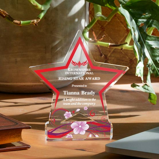 A clear acrylic star-shaped award with a red boarder and printed personalized text, displayed on a wooden desk with a potted plant and books in the background.