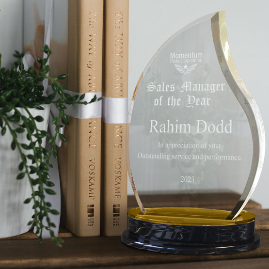 Personalized acrylic award on a black base with gold accents reflecting on the award, engraved with ‘Sales Manager of Year’, styled on a wooden shelf next to books and a plant.