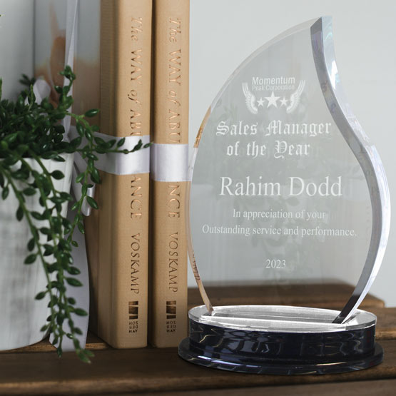 Personalized acrylic award on a black base with silver accents reflecting on the award, engraved with ‘Sales Manager of Year’, styled on a wooden shelf next to books and a plant.