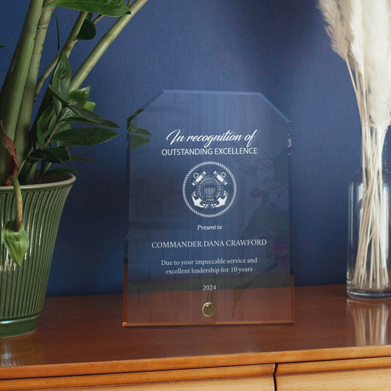 Custom Economy Acrylic Miilitary Award On Desk for Commander Dana Crawford. 