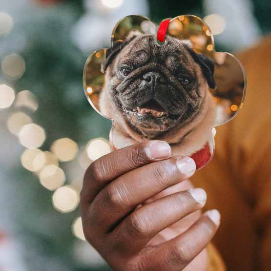 Hand Holding Up Custom Paw Shaped Acrylic Ornament With Red Ribbon And Full Color Photo Of Pug