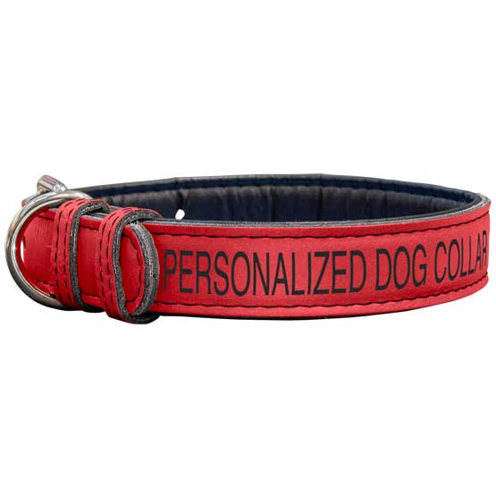 Custom Red Faux Leather Dog Collar Laser Engraved To Show Customizable Areas For Text And Art Against A White Background