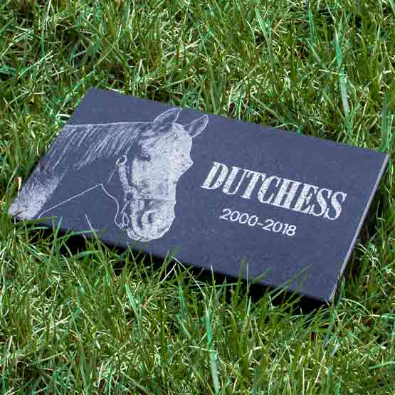 Custom Granite Headstone For Horses Laying In Grass.