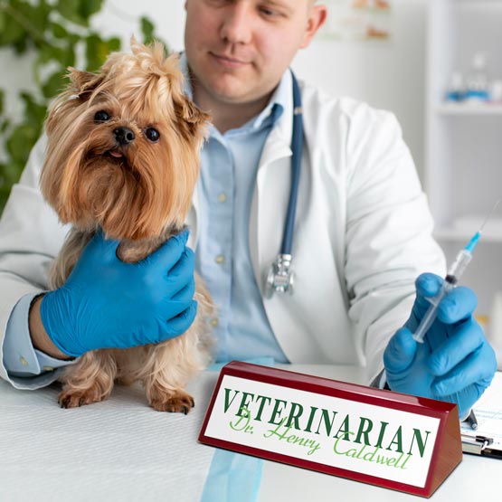 A veterinarian holding a small dog and a syringe with a custom 'Veterinarian' nameplate in the foreground