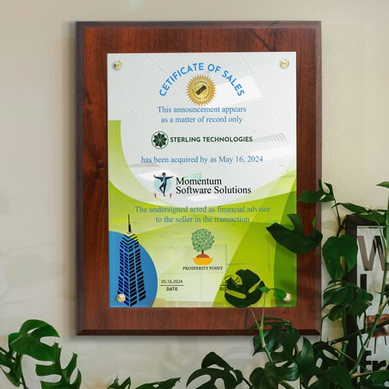 A framed ‘Certificate of Sales’ framed with a coated cherry board hanging on a beige wall, surrounded by green houseplants. The certificate features blue and gold text and graphics.