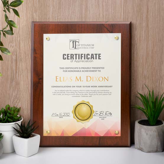 Certificate Plaque With Appreciation Document And Wood Board And Plexiglass And Gold Tacks On Shelf With Small Plants
