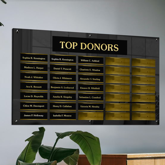 48 By 28 Inch Top Donor Perpetual Plaque With Black Acrylic Board And Silver Plates Mounted On Office Wall Above Plant