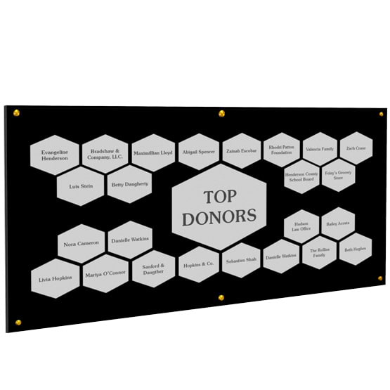 Top Donor Perpetual Plaque With Gold Standoffs And Acrylic Board And Honeycomb Shaped Silver Plates With Sample Names