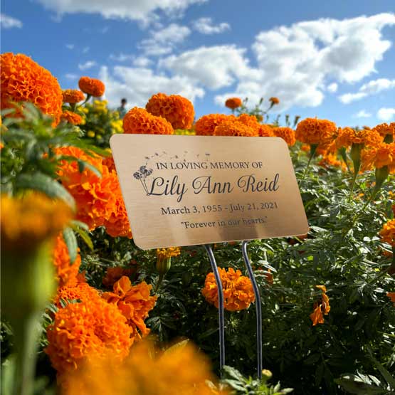 Custom Bronze Garden Sign Laser Fused With Sample Memorial For Lily Ann Reid Standing In Flower Garden Via Metal Stake