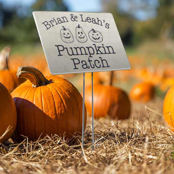 Stainless Steel Garden Sign Laser Fused With Pumpkin Art And Names And Pumpkin Patch Text Standing In Pumpkin Patch Via Stake