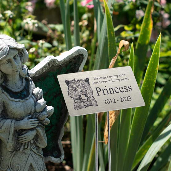Personalized pet memorial stainless steel garden sign on a metal stake outdoors featuring an engraved image of a dog named Princess, next to a stone angel statue and green plants. 