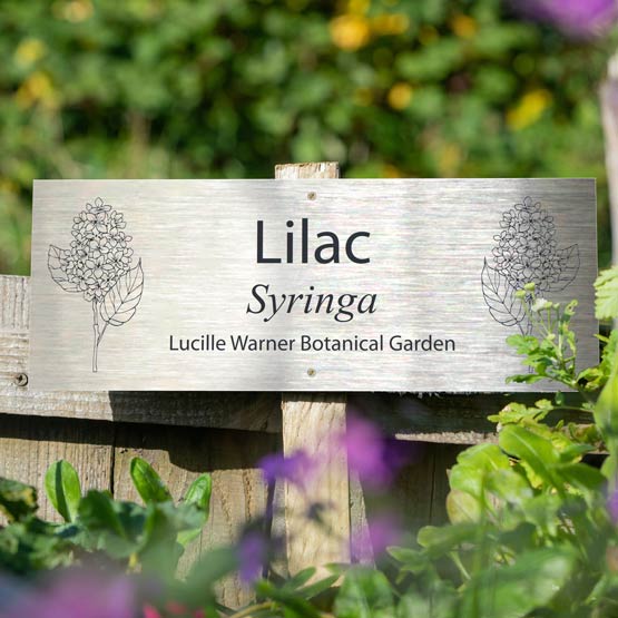 A stainless steel metal garden sign engraved with the words ‘Lilac Syringa’ and ‘Lucille Warner Botanical Garden,’ flanked by line drawings of lilac flowers, photographed outdoors in a garden setting with blurred greenery and purple flowers in the foreground.