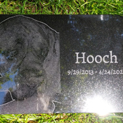 Order 766869 Review Image. Granite dog headstone for Hooch, featuring his picture.