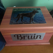 Order 665045 Review Image. Aluminum signs placed on a pet memorial box.