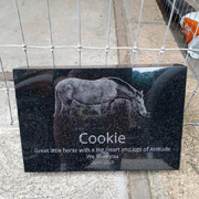 Order 771132 Review Image. Granite horse headstone for cookie featuring her picture.