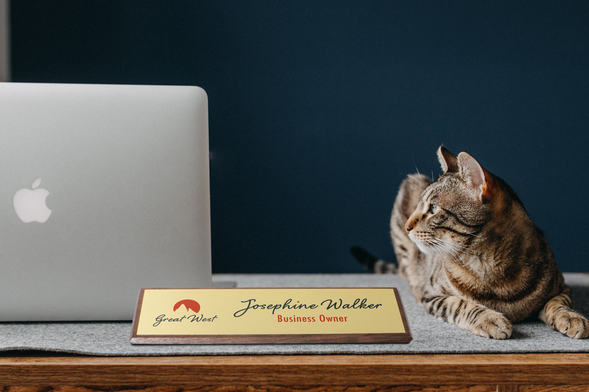 Walnut Desk Wedge near cat and laptop