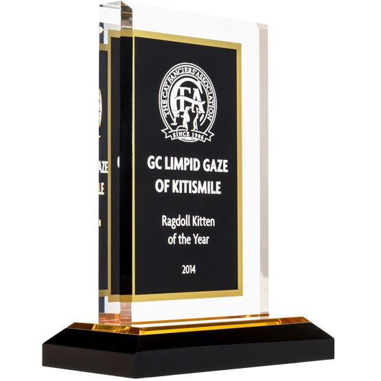 Custom Black & Gold Acrylic Award
