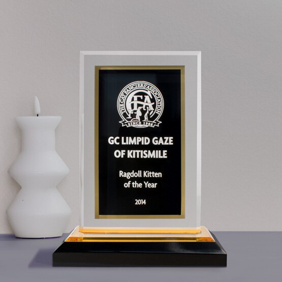 Black & Gold Acrylic Award on Table