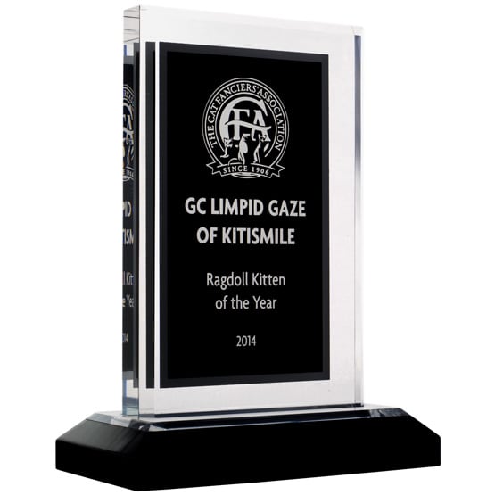 Custom Black & Silver Acrylic Award