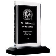 Custom Black & Silver Acrylic Award