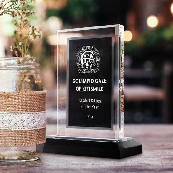 Black & Silver Award on Desk