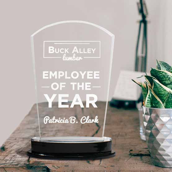 Acrylic award with silver base on a weathered wooden table with desk lamp and plant in a silver pot.