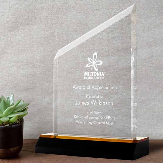Customizabe beveled acrylic award with gold mirror base on wooden table with small plant in black pot.