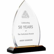 Custom Gold Acrylic Crest Awards