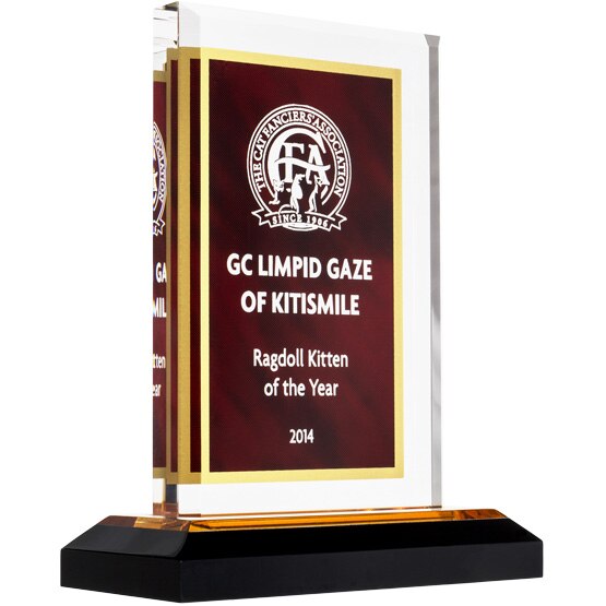 Custom Red & Gold Acrylic Awards