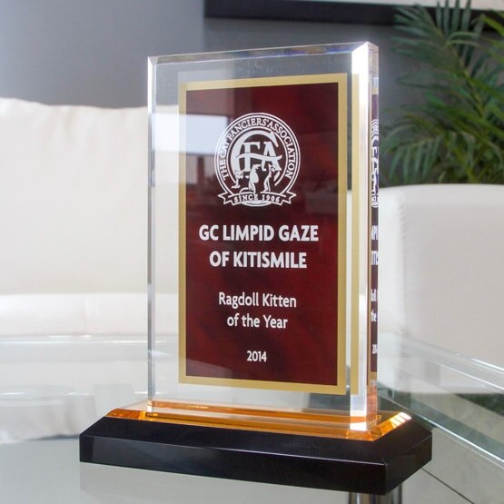 Red & Gold Acrylic Award on Table